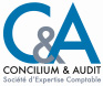 Concilium & Audit Logo